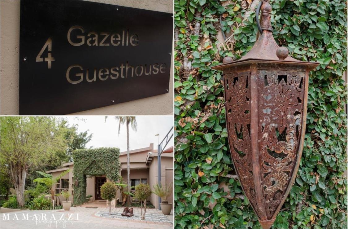 4 Gazelle Guesthouse Νέλσπρουιτ Εξωτερικό φωτογραφία